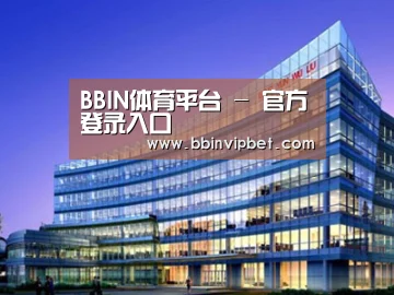 案例展示五