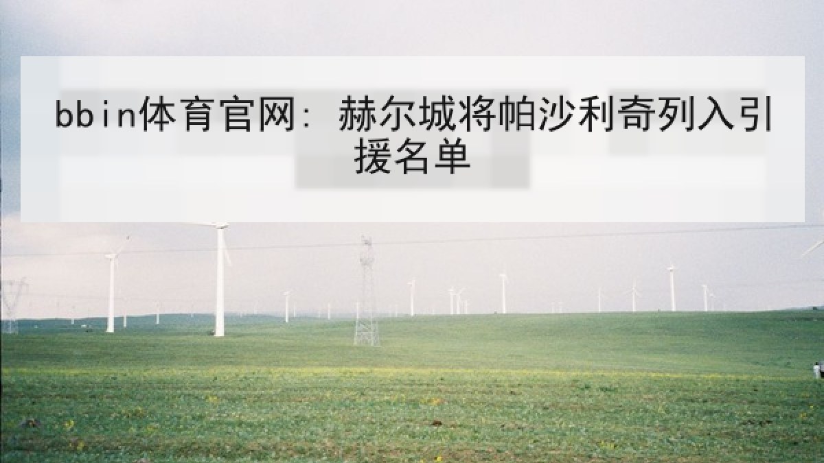 bbin体育官网: 赫尔城将帕沙利奇列入引援名单